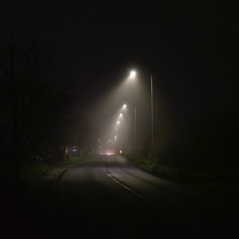 Foggy Road