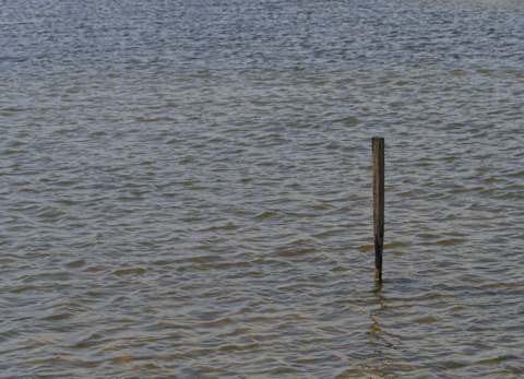 Cormorant Post
