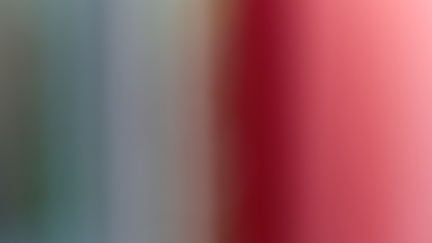 Garden Shed Door Curtain