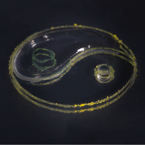 Oil and water