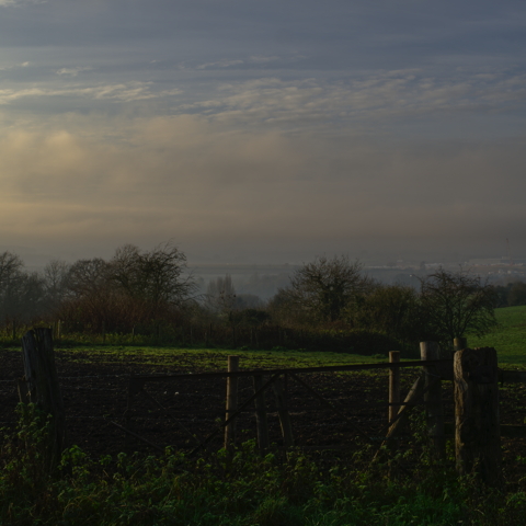 Foggy Valley