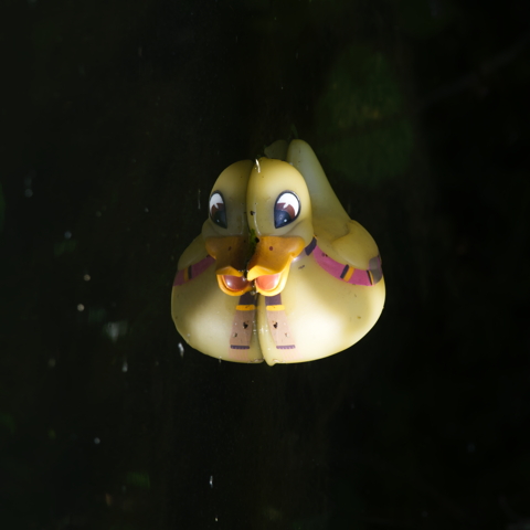 Rubber Duck
