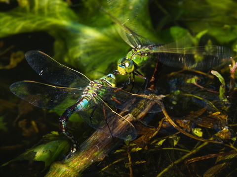 I'm here for you darling