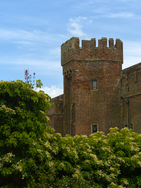Over Garden Wall