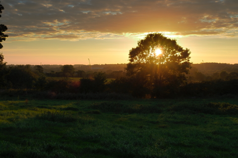 Church Field Sunset